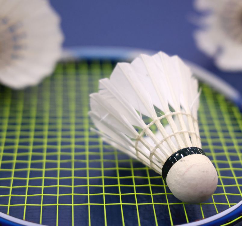 Badminton